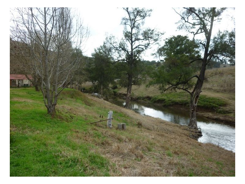 DAROO, Tamworth NSW 2340