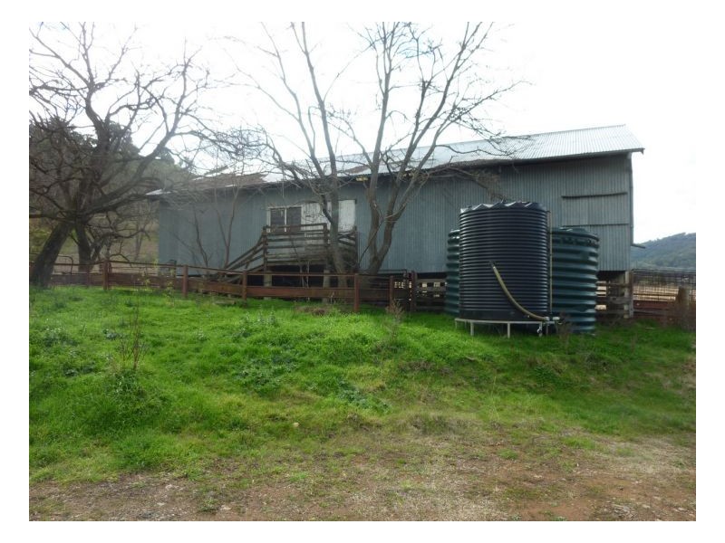 DAROO, Tamworth NSW 2340