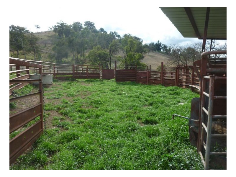 DAROO, Tamworth NSW 2340