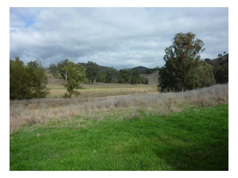 DAROO, Tamworth NSW 2340