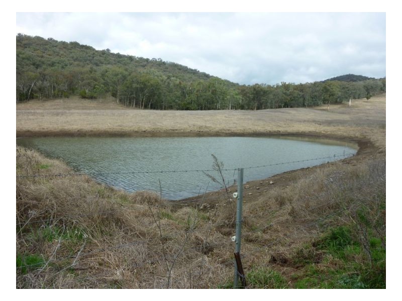 DAROO, Tamworth NSW 2340