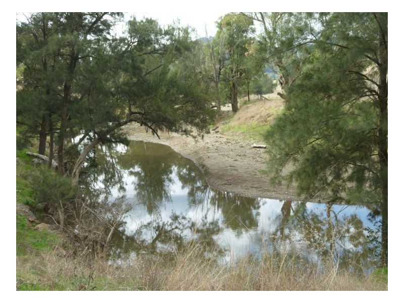 DAROO, Tamworth NSW 2340