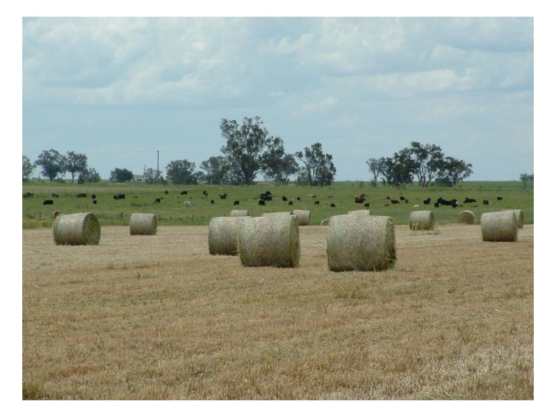 KARLOO PARK, Tamworth NSW 2340