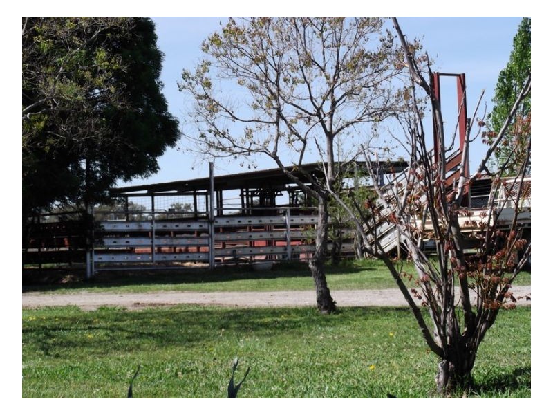 KARLOO PARK, Tamworth NSW 2340