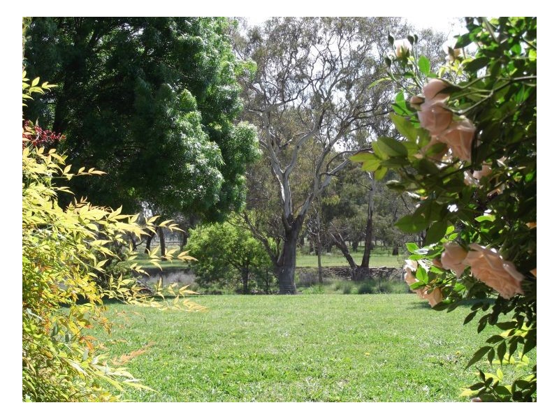 KARLOO PARK, Tamworth NSW 2340