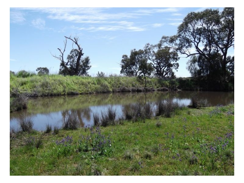 KILMERSTON, Somerton NSW 2340