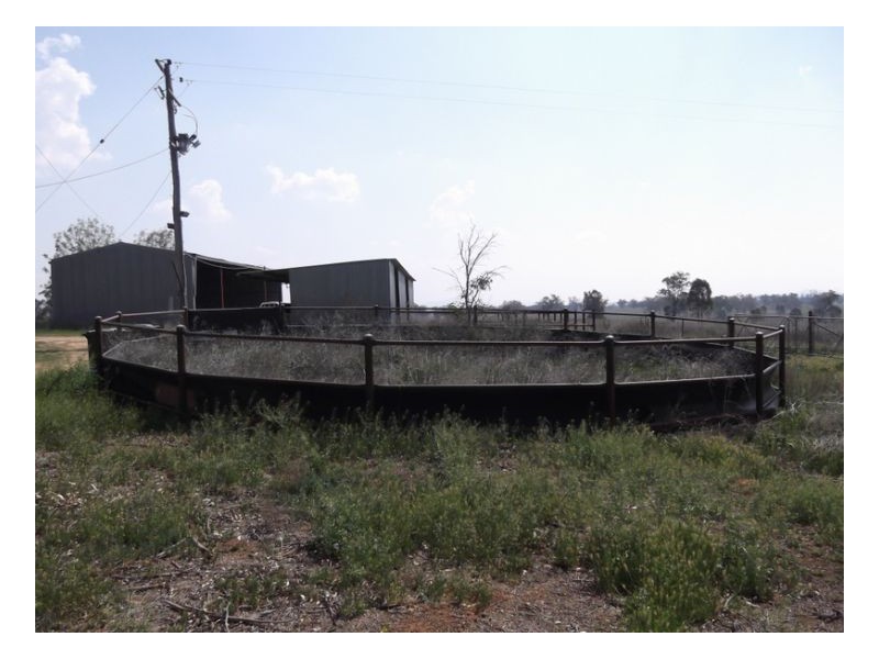 KILMERSTON, Somerton NSW 2340