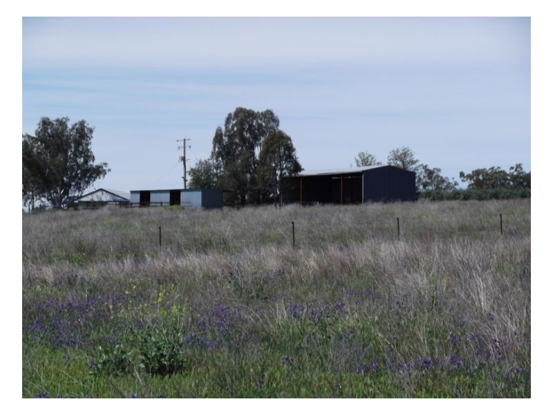 KILMERSTON, Somerton NSW 2340