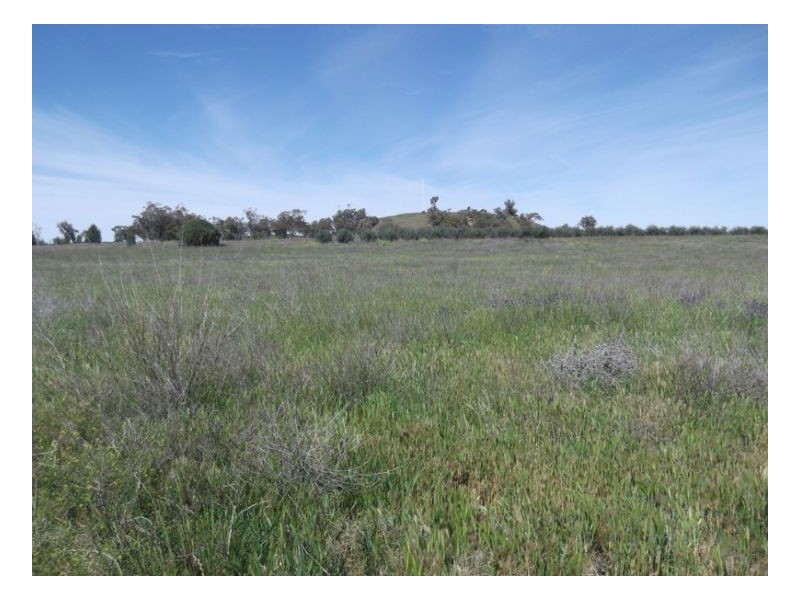 KILMERSTON, Somerton NSW 2340