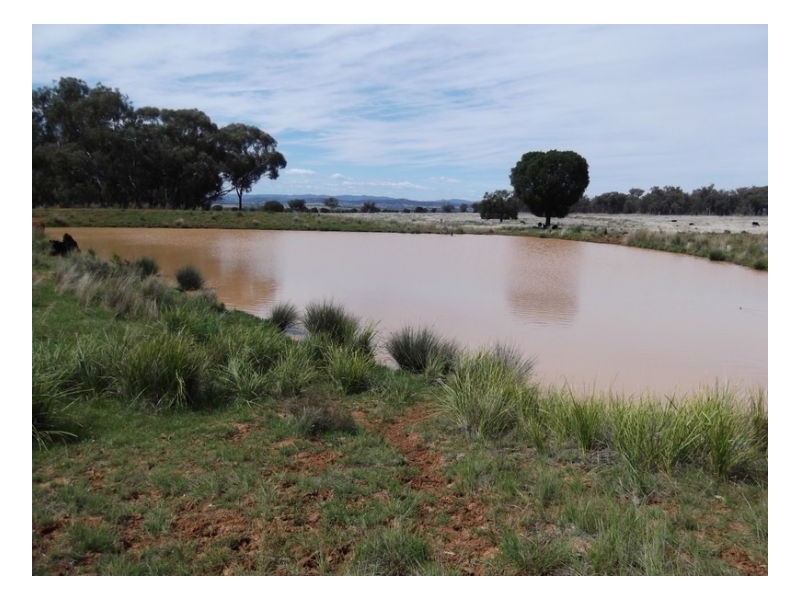 NORTH LONOU, Somerton NSW 2340