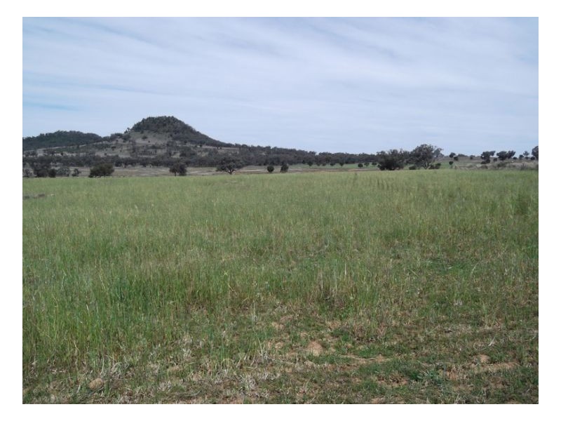 NORTH LONOU, Somerton NSW 2340