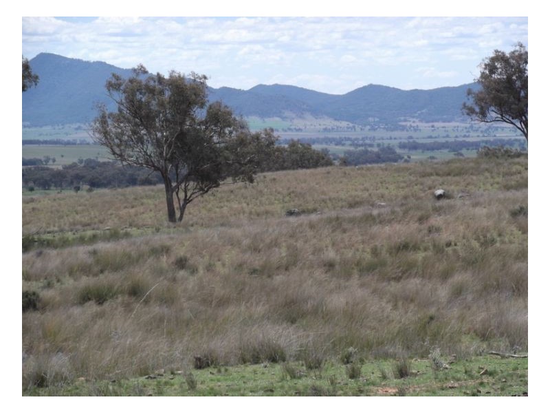 NORTH LONOU, Somerton NSW 2340