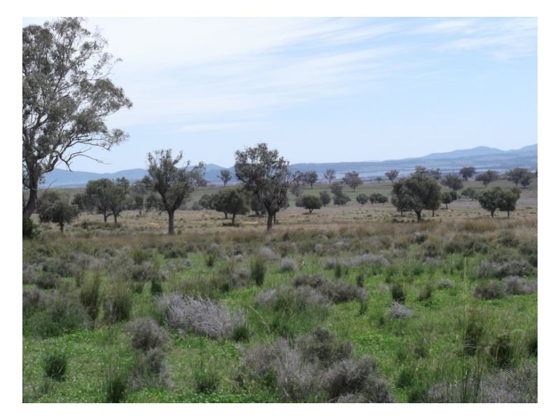 NORTH LONOU, Somerton NSW 2340