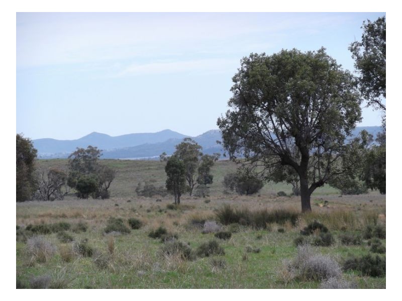 NORTH LONOU, Somerton NSW 2340