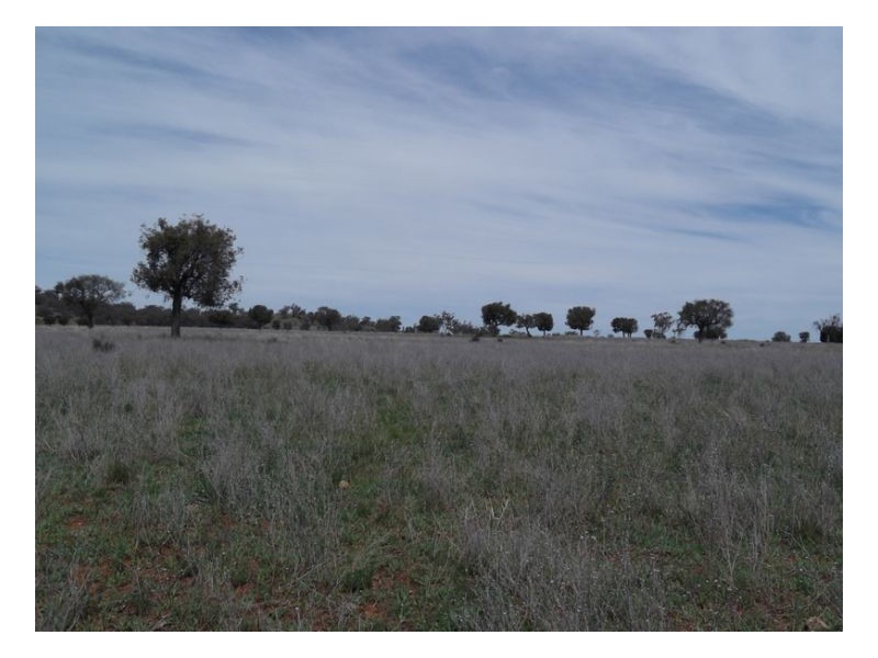 NORTH LONOU, Somerton NSW 2340