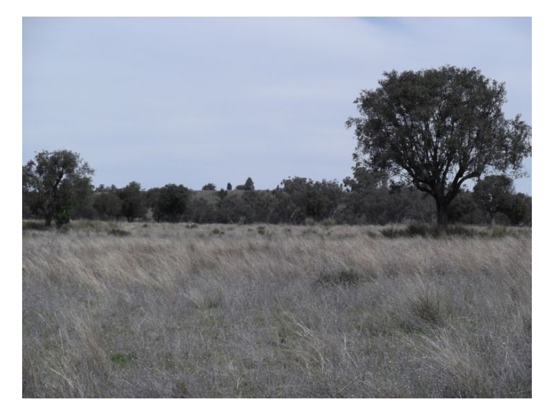 NORTH LONOU, Somerton NSW 2340