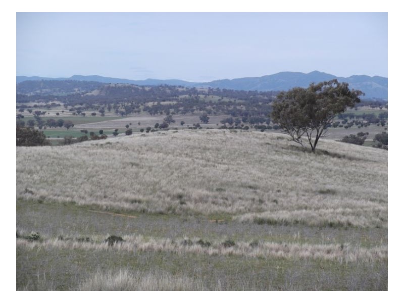 NORTH LONOU, Somerton NSW 2340