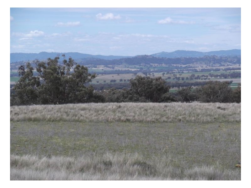 NORTH LONOU, Somerton NSW 2340