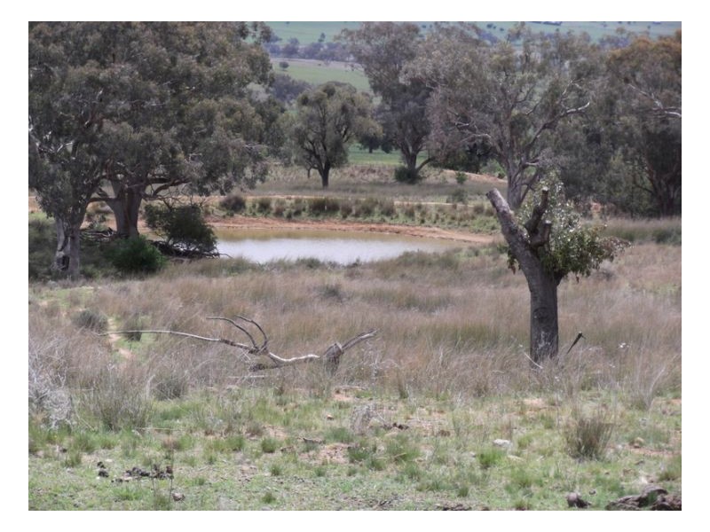 NORTH LONOU, Somerton NSW 2340