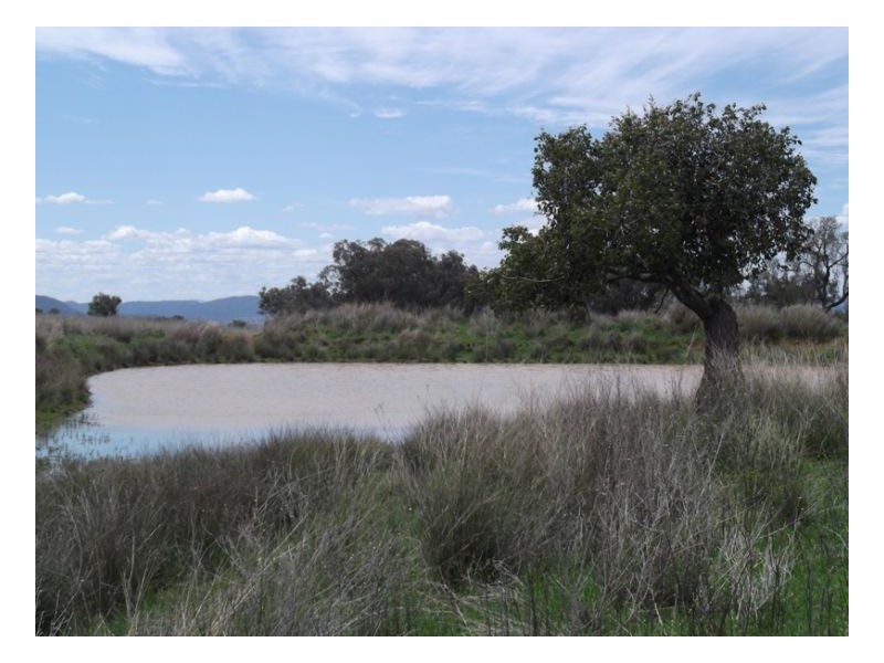 NORTH LONOU, Somerton NSW 2340