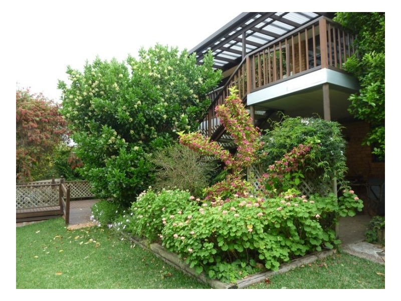 11 DEKALB STREET, Tamworth NSW 2340