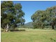 WIRRALEE, Tamworth NSW 2340