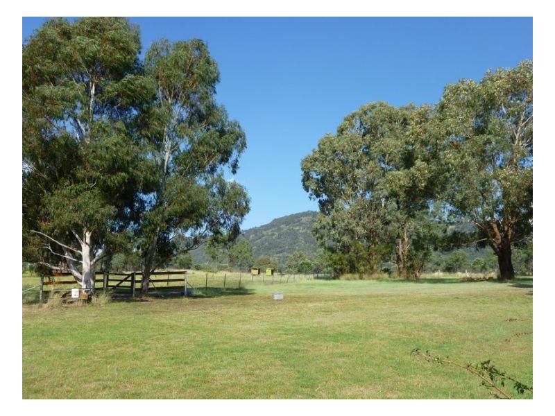 WIRRALEE, Tamworth NSW 2340