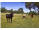 WIRRALEE, Tamworth NSW 2340