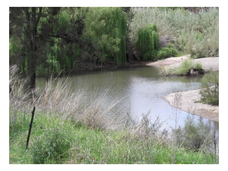 SUNNYBANK, Nemingha NSW 2340