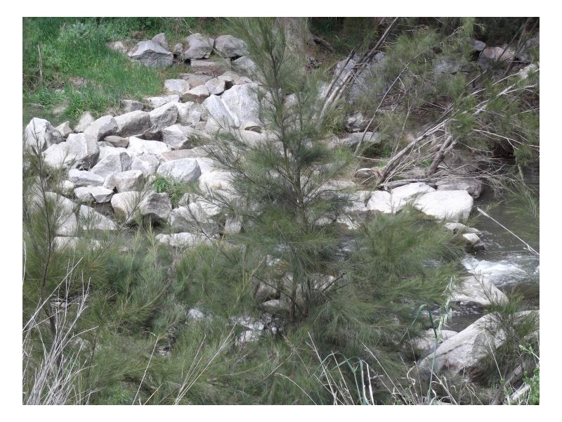 SUNNYBANK, Nemingha NSW 2340