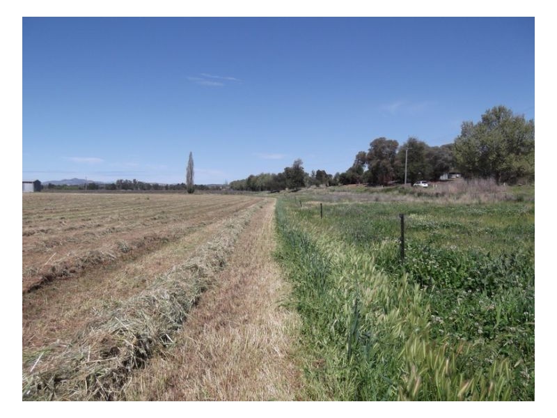 SUNNYBANK, Nemingha NSW 2340