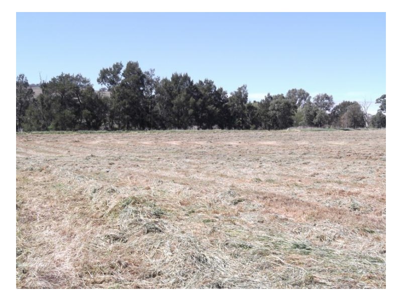 SUNNYBANK, Nemingha NSW 2340