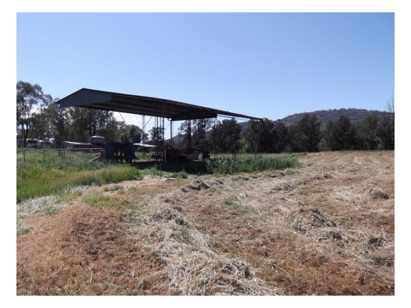 SUNNYBANK, Nemingha NSW 2340