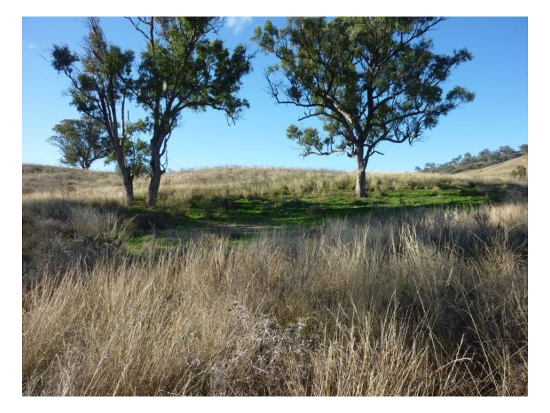 JUMP UP ROAD – Barraba, Tamworth NSW 2340