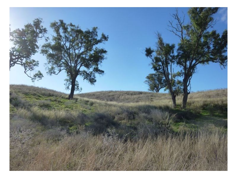 JUMP UP ROAD – Barraba, Tamworth NSW 2340