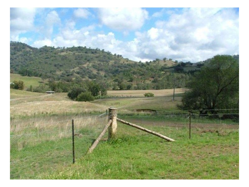 HYLANDS – Manilla, Tamworth NSW 2340