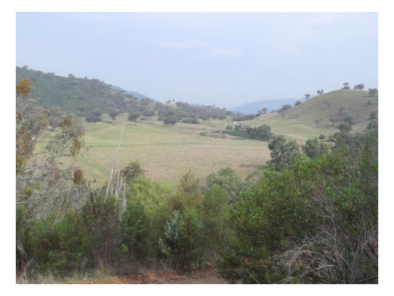 HYLANDS – Manilla, Tamworth NSW 2340