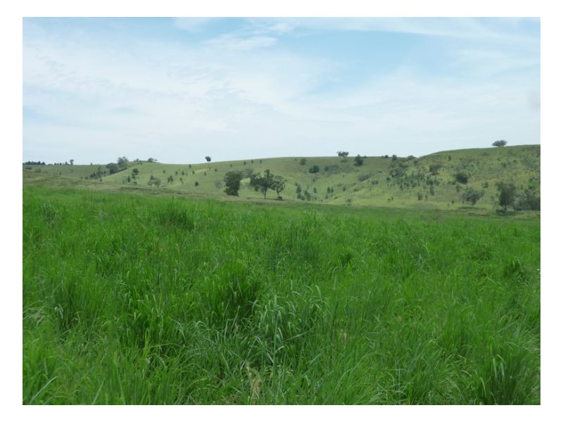 BROWNING VALE – Lot 1 – Manilla, Tamworth NSW 2340