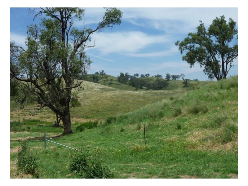 BROWNING VALE – Lot 1 – Manilla, Tamworth NSW 2340