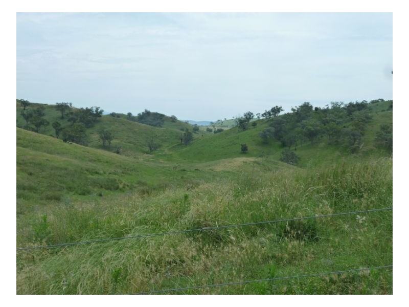 BROWNING VALE – Lot 1 – Manilla, Tamworth NSW 2340