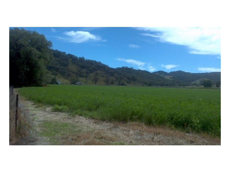 KERMIL PARK, Tamworth NSW 2340