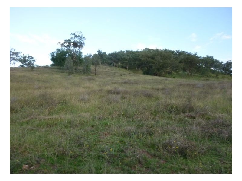 KERMIL PARK, Tamworth NSW 2340