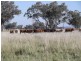 FARLANDS – Bithramere, Tamworth NSW 2340