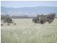 FARLANDS – Bithramere, Tamworth NSW 2340