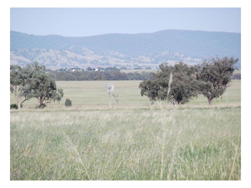 FARLANDS – Bithramere, Tamworth NSW 2340