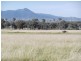 FARLANDS – Bithramere, Tamworth NSW 2340