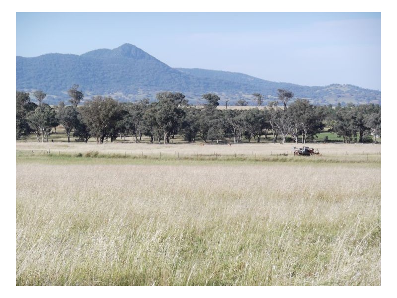 FARLANDS – Bithramere, Tamworth NSW 2340