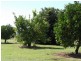 FARLANDS – Bithramere, Tamworth NSW 2340