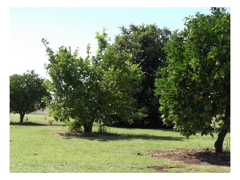 FARLANDS – Bithramere, Tamworth NSW 2340