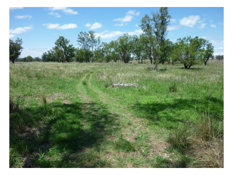 ROSEHILL – Duri, Tamworth NSW 2340